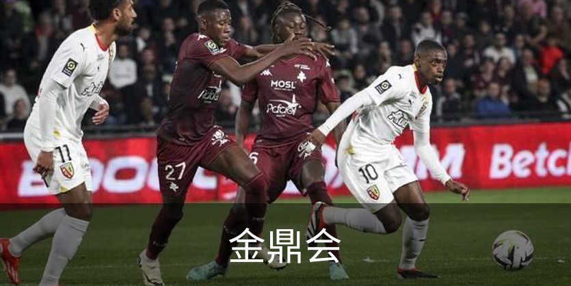 金鼎会概况